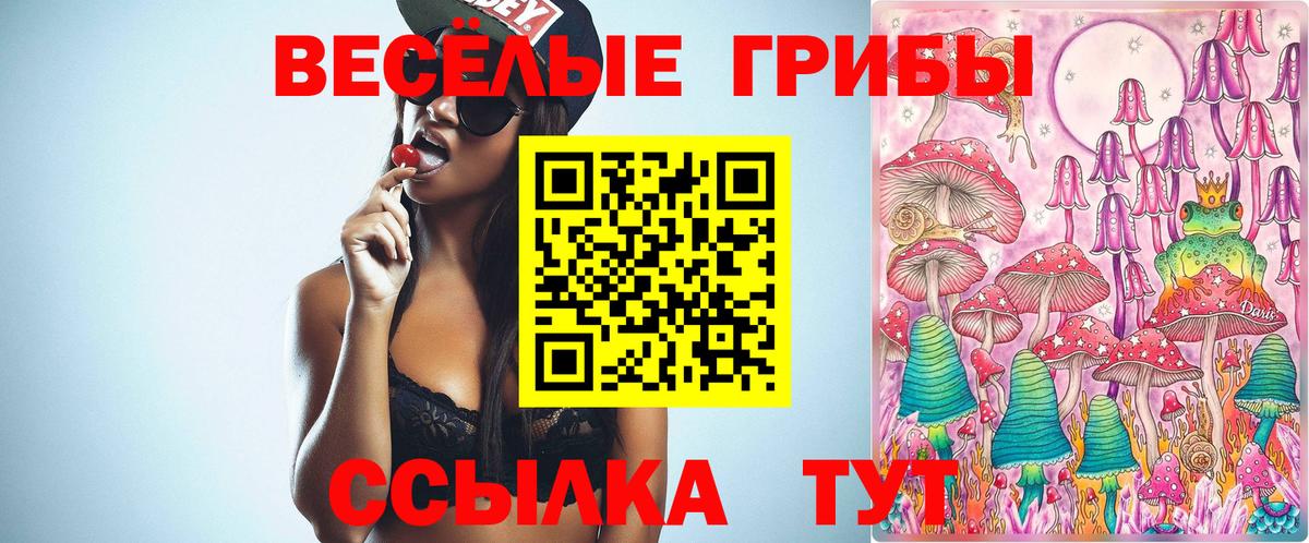 Галлюциногенные грибы MAGIC MUSHROOMS Брянск