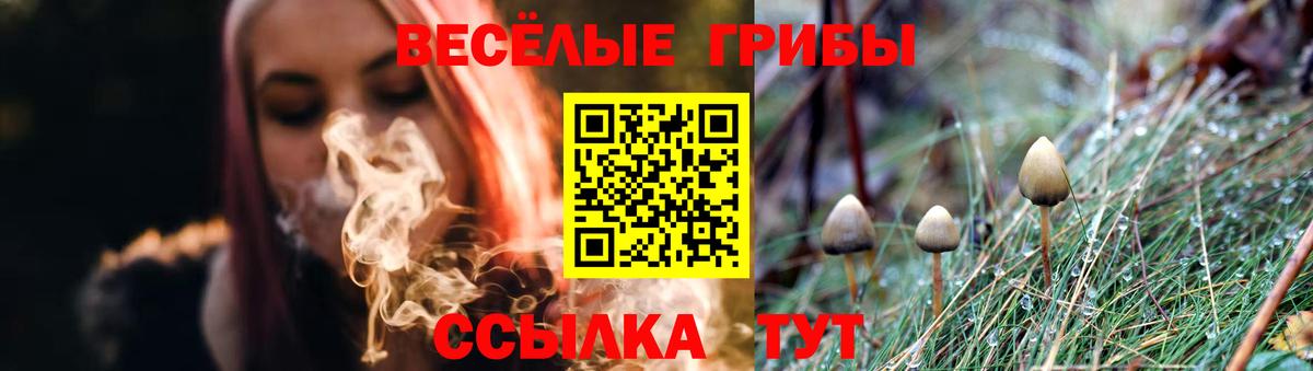 Псилоцибиновые грибы ЛСД  Вход с VPN  Галлюциногенные грибы Cubensis  Брянск 